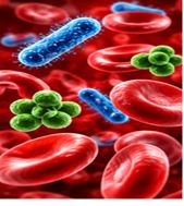 Respiratory Infections